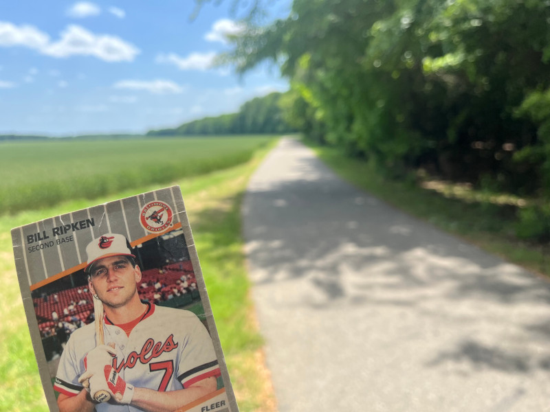 [Image: Billy Ripken card at site of the Battle of Green Spring.]