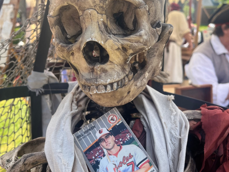 [Image: Billy Ripken card nestled into the uniform of a pirate skeleton locked in a gibbet. Active 18th century pirate smiths make repairs in the background.]