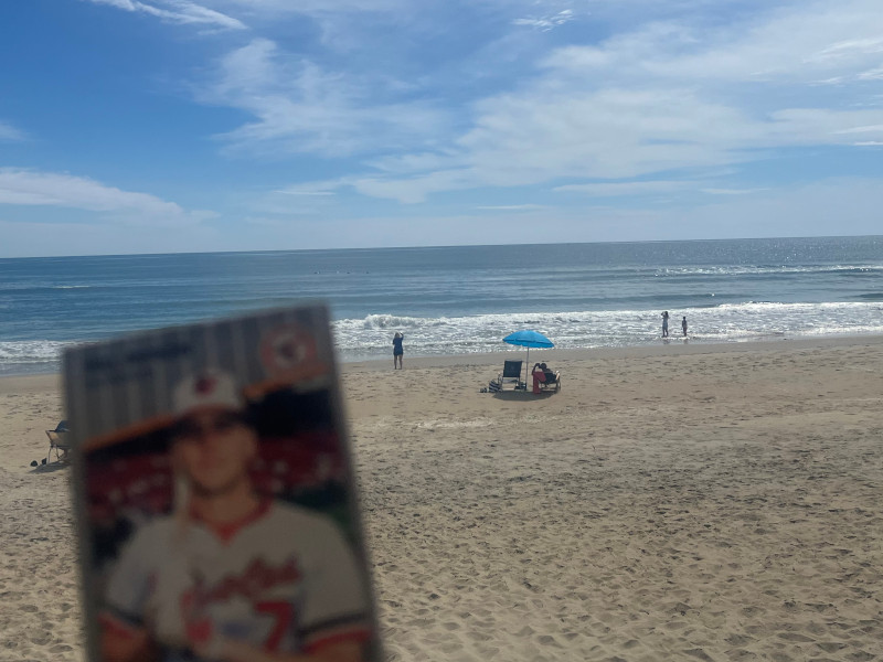 [Image: Billy Ripken card held up at the beach in Nags Head. Some bystanders are looking at the ocean. Four dolphins can be seen moving up the shoreline just beyond the upper right corner of the card.]