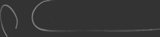 Image: A seemingly nonsensical pair of shapes that are actually the signature of author Michael Lewis.